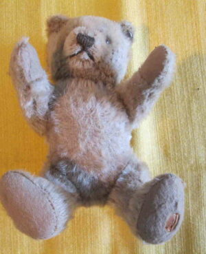 Original Steiff Teddy