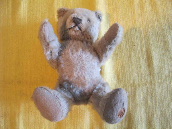 Original Steiff Teddy